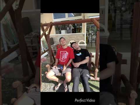 京橋 ハイビスカス 慰安旅行 伊勢 思い出 奄美沖縄料理 徳之島 人気の旅行動画ランキング